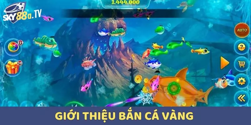Giới thiệu Bắn cá vàng