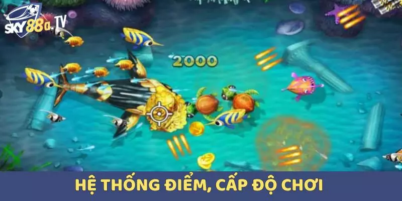 Hệ thống điểm, cấp độ chơi Bắn cá vàng