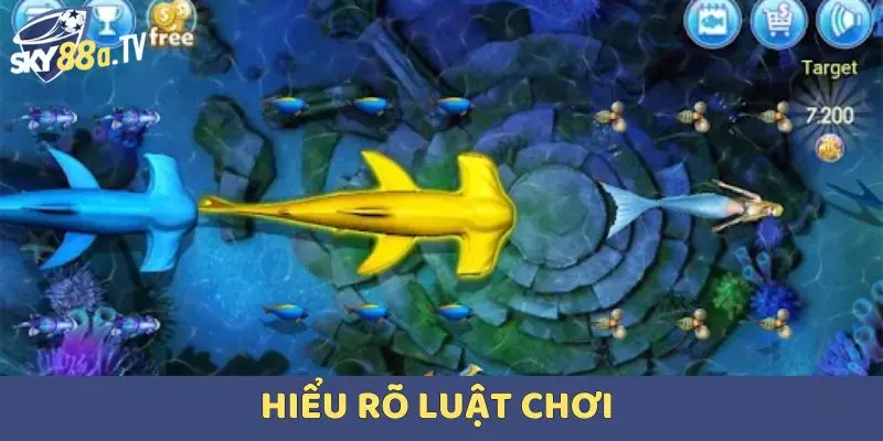 Hiểu rõ luật chơi